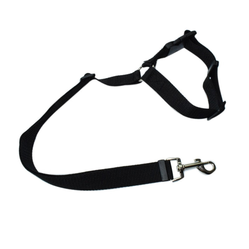 Solid Two-in-one Pet Car Seat Belt  Lead Leash BackSeat Safety Belt Adjustable Harness for Kitten Dogs Collar Pet Accessories