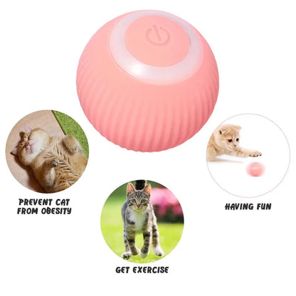 Smart Pet Toys Rolling Ball Rechargeable Electric Interactive Toy