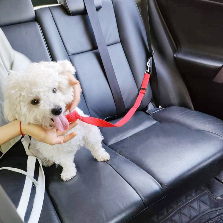 Solid Two-in-one Pet Car Seat Belt  Lead Leash BackSeat Safety Belt Adjustable Harness for Kitten Dogs Collar Pet Accessories