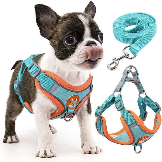 Step-in Dog Harness Small Dog Harness and Leash Set Adjustable Reflective Pet Dog Vest Soft Harness for Puppy Small Medium Breed
