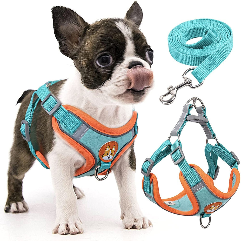 Step-in Dog Harness Small Dog Harness and Leash Set Adjustable Reflective Pet Dog Vest Soft Harness for Puppy Small Medium Breed
